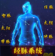 经脉系统.jpg